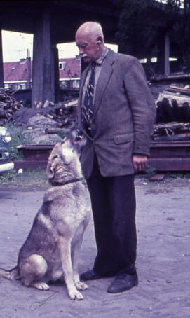 leendert saarloos